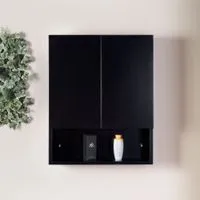 2 Door Wall Cabinet-1