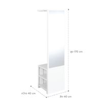 Wall Mounted Cloth Rack with dressing mirror-2