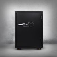 Fireproof safe with fingerprint and digital code system 150kg.