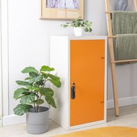 Double-box steel door